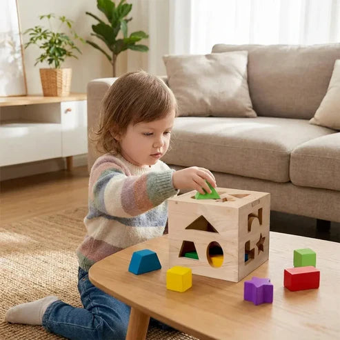 Montessori Shape Sorter