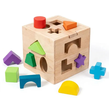 Montessori Shape Sorter